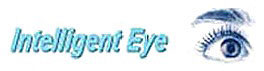 Intelligent eye