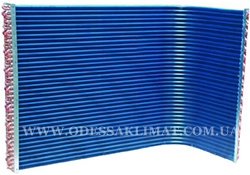 Sinclair Blue Fin